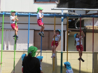 11.JPG