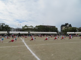 7.JPG