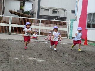 すみれ6.JPG