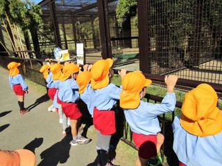 みかん見学.JPG