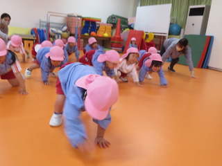 P.JPG