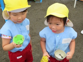 カタツムリ.jpg