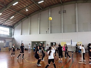 バレー2-1.jpg