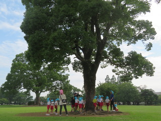 公園1.JPG