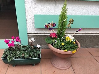 寄せ植え1.JPG