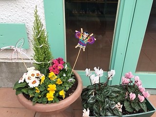 寄せ植え2.JPG