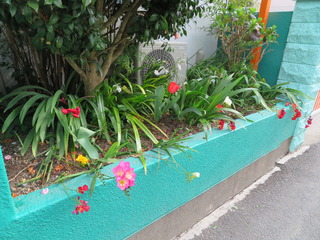 花1.JPG