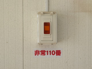 T.JPG