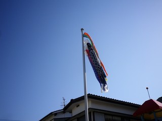 IMGP0400.JPG