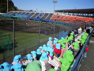 IMGP0733.JPG