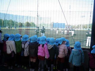 IMGP0736.JPG