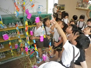 IMGP1266.JPG