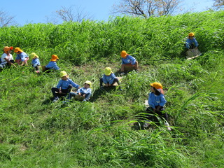 IMG_2566.JPG